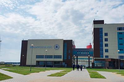 Названы сроки запуска реактора Белорусской АЭС после остановки