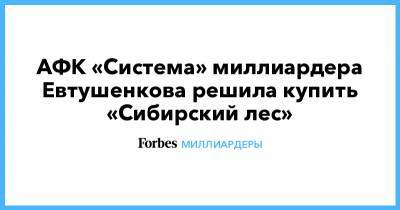 АФК «Система» миллиардера Евтушенкова решила купить «Сибирский лес»
