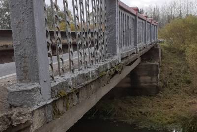 Начался капремонт моста через реку Кобылица в Дедовичском районе