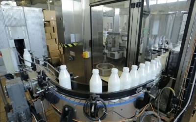 Сбывали некачественную "молочку": украинских производителей оштрафовали на 111 миллионов