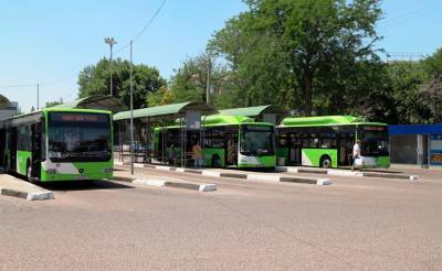 В автобусах Ташкента будут введены три варианта стоимости проезда. Объясняем, от чего это будет зависеть