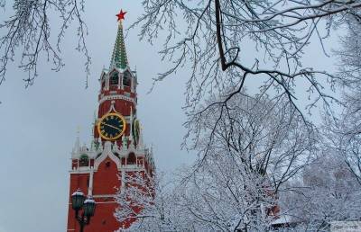 Главную елку страны повезли к зданию Кремля