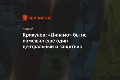 Крикунов: «Динамо» не помешал бы ещё один центральный и защитник