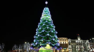 На главной площади Воронежа зажгли новогоднюю ёлку