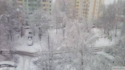 Жителей Москвы обрадовали самым снежным днем в году