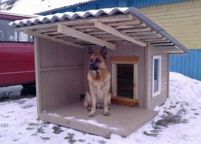 Утепляем, прикрываем, кроем крышу: как на зиму обустроить будку для собаки