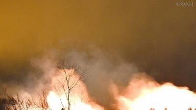 Мощный пожар вспыхнул на пилораме в Нижегородской области