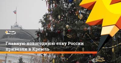 Главную новогоднюю елку России привезли в Кремль