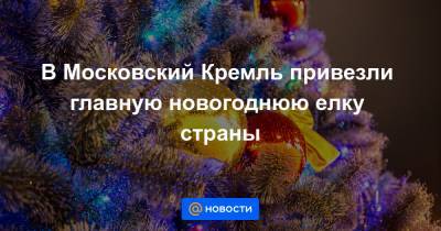 В Московский Кремль привезли главную новогоднюю елку страны
