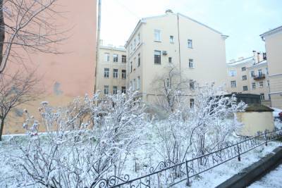 Почти тысячу машин бросили на борьбу со снегом в Петербурге