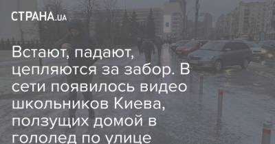 Встают, падают, цепляясь за забор. В сети появилось видео школьников Киева, ползущих домой в гололед по улице
