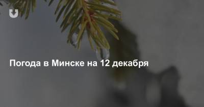 Погода в Минске на 12 декабря