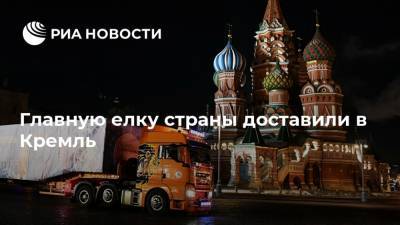 Главную елку страны доставили в Кремль