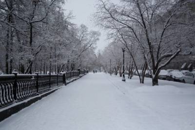 Теплая и снежная погода придет в Новосибирск на выходных