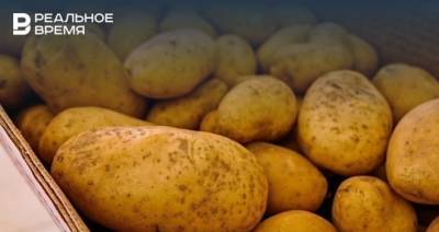 В России число продуктов с нарушением содержания ГМО снизилось в 8 раз