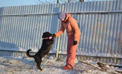 Тюменский приют для животных возобновил свою работу после прокурорской проверки