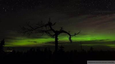 Северное сияние окрасило ночной Мурманск в зеленый цвет