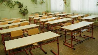 На удалёнку в петербургских школах перевели рекордное число классов