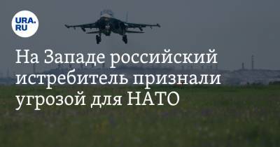 На Западе российский истребитель признали угрозой для НАТО