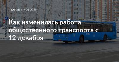 Как изменилась работа общественного транспорта с 12 декабря - mos.ru - Москва