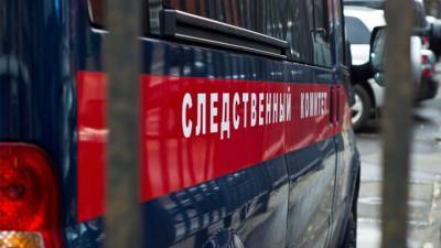 Мужчина и пятилетний ребенок найдены мертвыми на северо-востоке Москвы