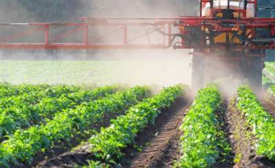 Пестицидная нагрузка на гектар в Украине вдвое ниже, чем в ЕС