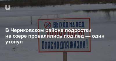 В Чериковском районе подростки на озере провалились под лед — один утонул