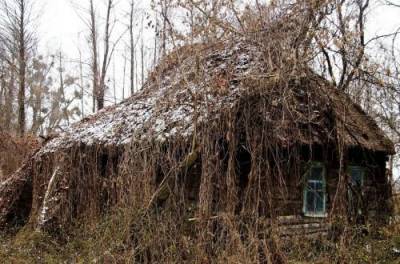 В Чернобыльской зоне уцелел "сказочный" домик. ФОТО