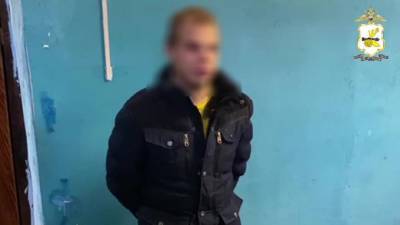 В Смоленской области сотрудники уголовного розыска раскрыли разбой в отношении пожилой женщины