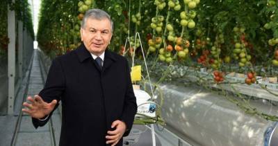 Шавкат Мирзиёев: " Современные теплицы – большой источник рабочих мест и экспорта продукции"