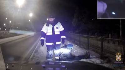 Полицейские спасли пьяного мужчину, замерзавшего на кладбище в Омске. Видео