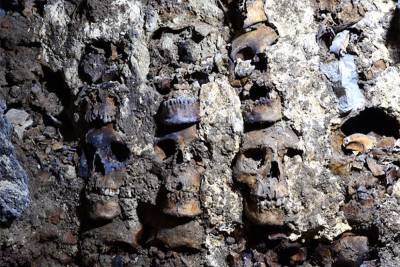 Археологи в Мехико нашли еще 119 черепов в башне из человеческих голов