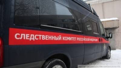 Следком заинтересовался гибелью пассажира рейса Омск-Москва