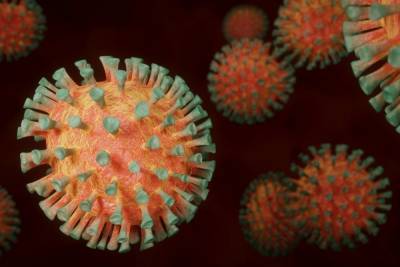 Средство гигиены оказалось способным уничтожить коронавирус за 2 минуты