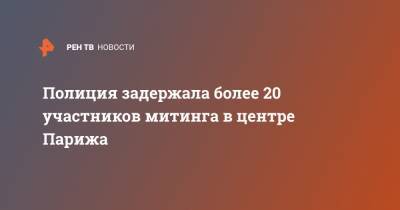 Полиция задержала более 20 участников митинга в центре Парижа