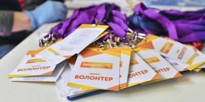 Проект #СвоихНеБросаем провел акцию в Домодедово ко Дню Конституции России