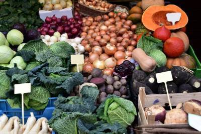 Какие овощи нужно есть зимой, чтобы худеть: советы от диетолога