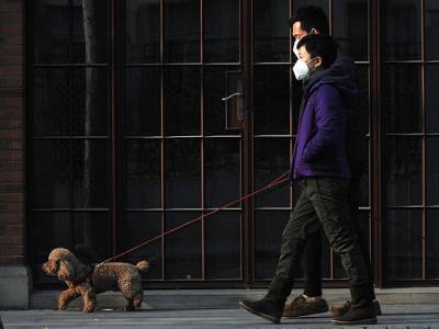Китай закрыл город на границе с Россией из-за вспышки коронавируса