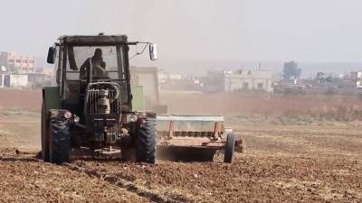 Сирийские фермеры начали возделывать разминированные земли в Пальмире