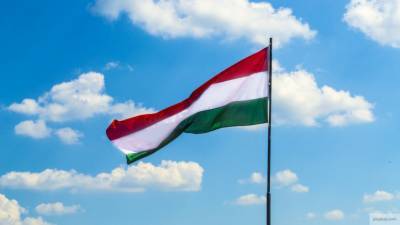 Правоохранители Украины заинтересовались певцами венгерского гимна в Закарпатье