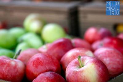 Россельхознадзор РД обнаружил вредный карантинный объект в яблоках из Ирана