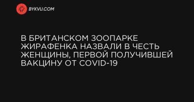 В британском зоопарке жирафенка назвали в честь женщины, первой получившей вакцину от COVID-19