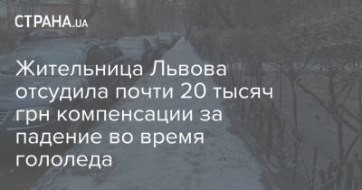 Жительница Львова отсудила почти 20 тысяч грн компенсации за падение во время гололеда