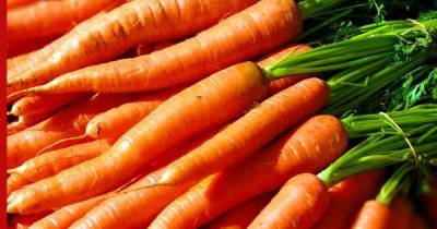 Ученые выяснили, от чего зависит польза моркови для человека