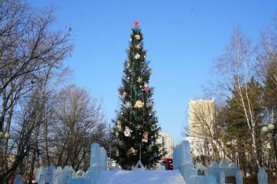 В Хабаровске нарядили главную елку