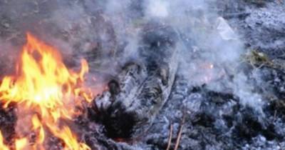 Под Хабаровском локализовали пожар на горящей две недели свалке