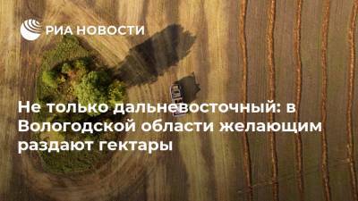 Не только дальневосточный: в Вологодской области желающим раздают гектары