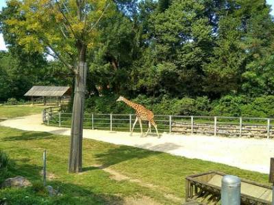 Власти сообщили, на каком этапе находится проект строительства зоопарка в Уфе