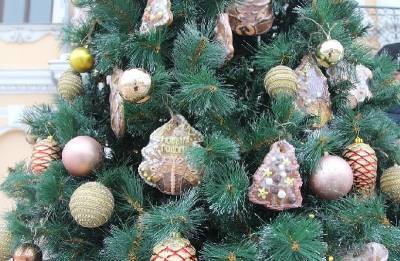 В Ершичах 21 декабря установят новогоднюю елку