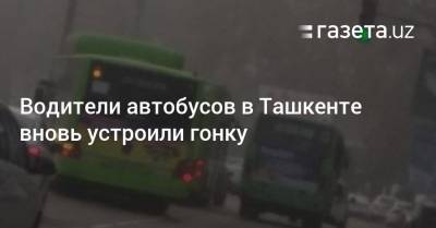 Водители автобусов в Ташкенте вновь устроили гонку